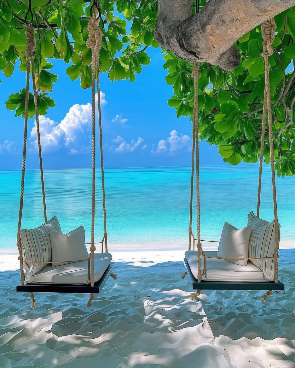 492520901_700618829163048_6679916734617141621_n